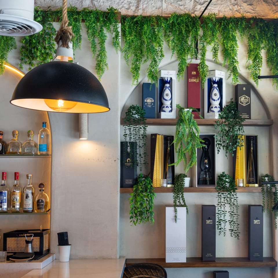 Stylish tequila bar displaying premium bottles and gift boxes beneath hanging greenery and warm pendant lighting.