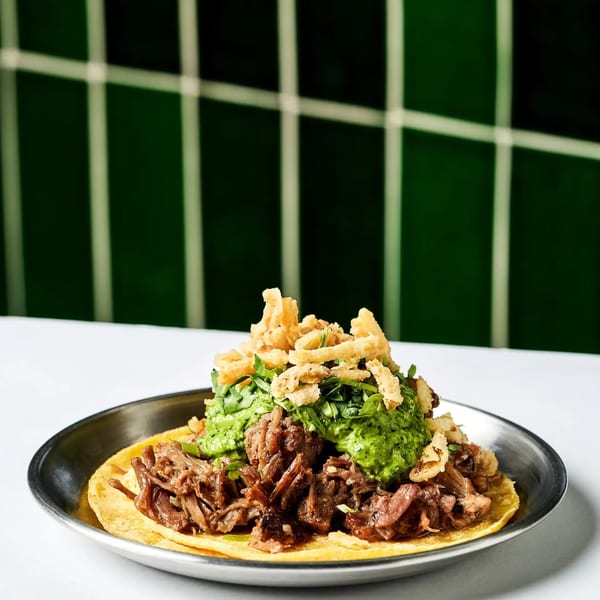 A taco with shredded meat, guacamole, and crispy fried onions on a metal plate.